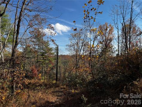 270 S Jarvis Drive Hendersonville NC 28792