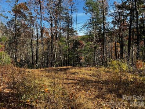 270 S Jarvis Drive Hendersonville NC 28792