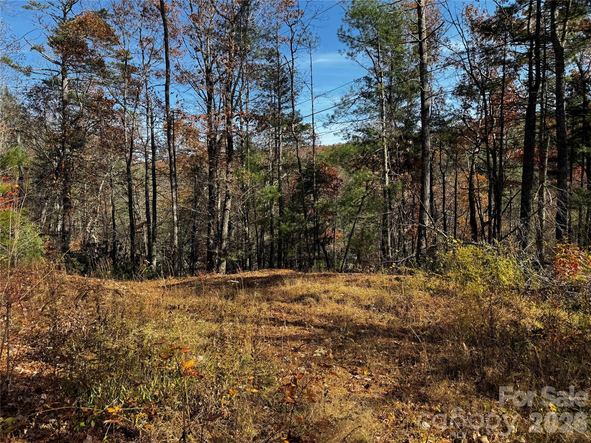 270 S Jarvis Drive Hendersonville NC 28792