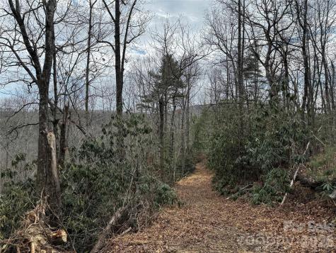 270 S Jarvis Drive Hendersonville NC 28792
