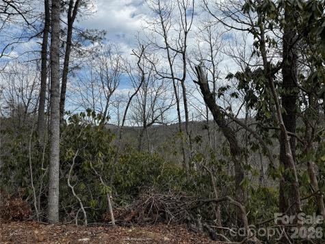 270 S Jarvis Drive Hendersonville NC 28792