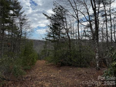 270 S Jarvis Drive Hendersonville NC 28792