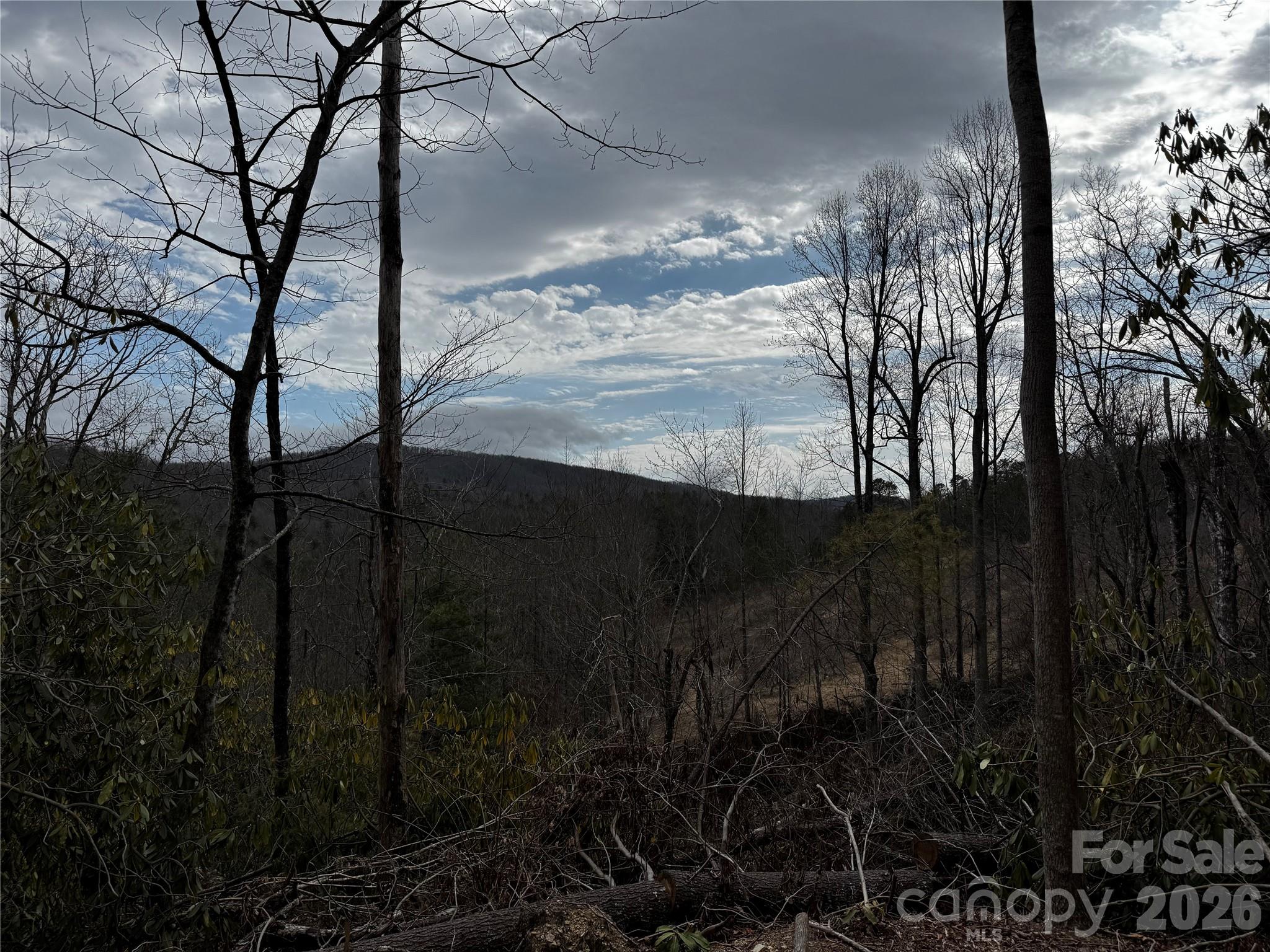 270 S Jarvis Drive Hendersonville NC 28792