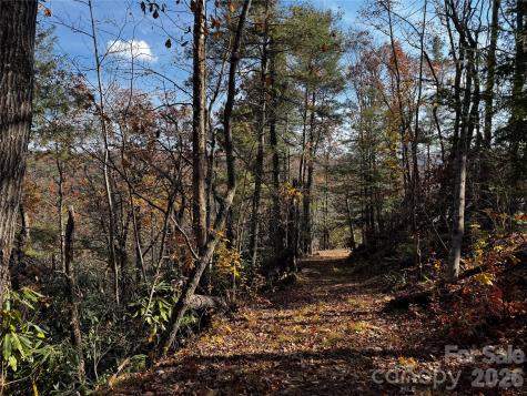 270 S Jarvis Drive Hendersonville NC 28792