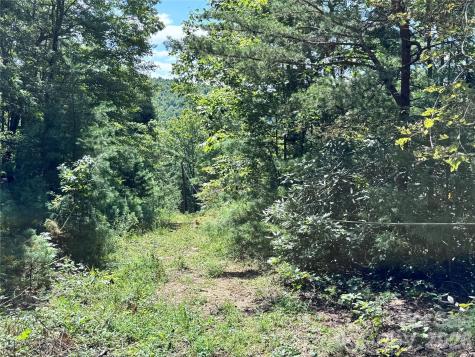 270 S Jarvis Drive Hendersonville NC 28792