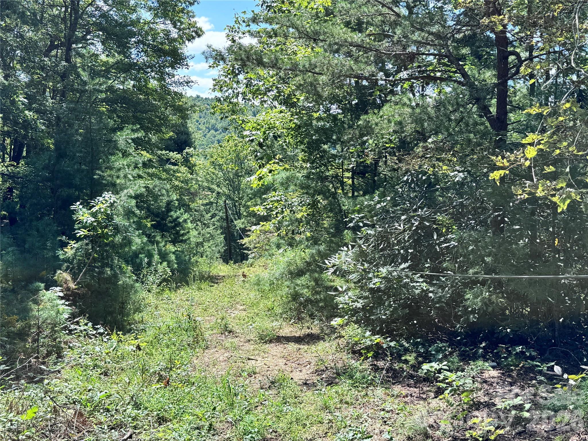 270 S Jarvis Drive Hendersonville NC 28792