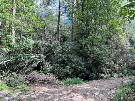 270 S Jarvis Drive Hendersonville NC 28792