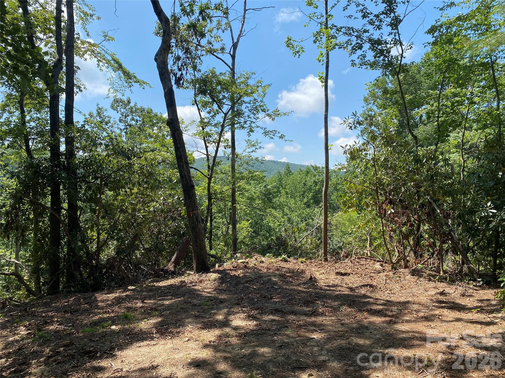 270 S Jarvis Drive Hendersonville NC 28792