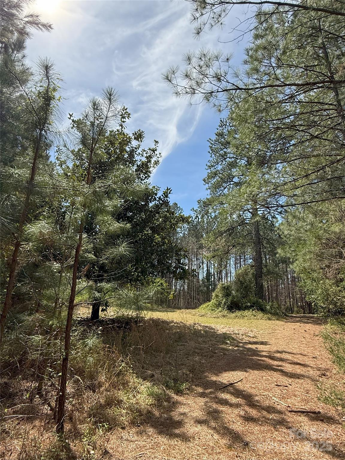 656 Skyline Drive Chester SC 29706