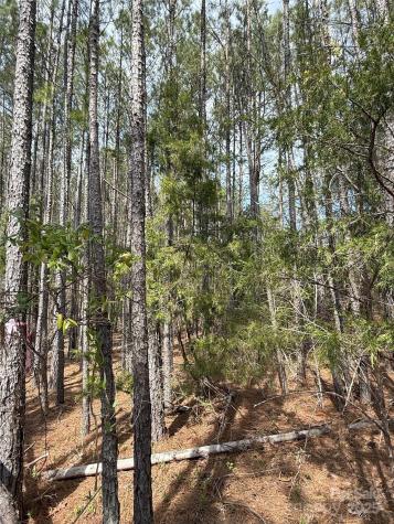 656 Skyline Drive Chester SC 29706