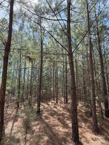 656 Skyline Drive Chester SC 29706