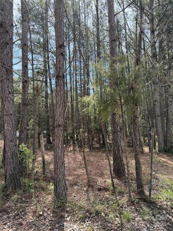 656 Skyline Drive Chester SC 29706