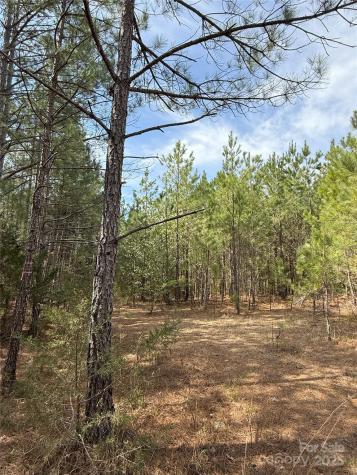 656 Skyline Drive Chester SC 29706