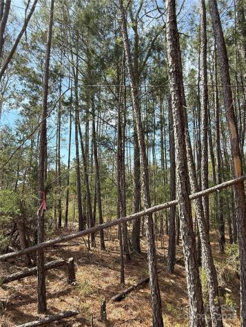 656 Skyline Drive Chester SC 29706