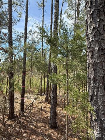 656 Skyline Drive Chester SC 29706