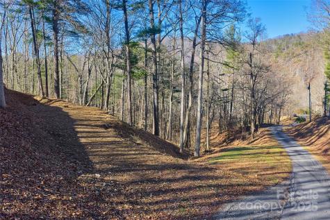15 Beech Tree Lane Asheville NC 28804