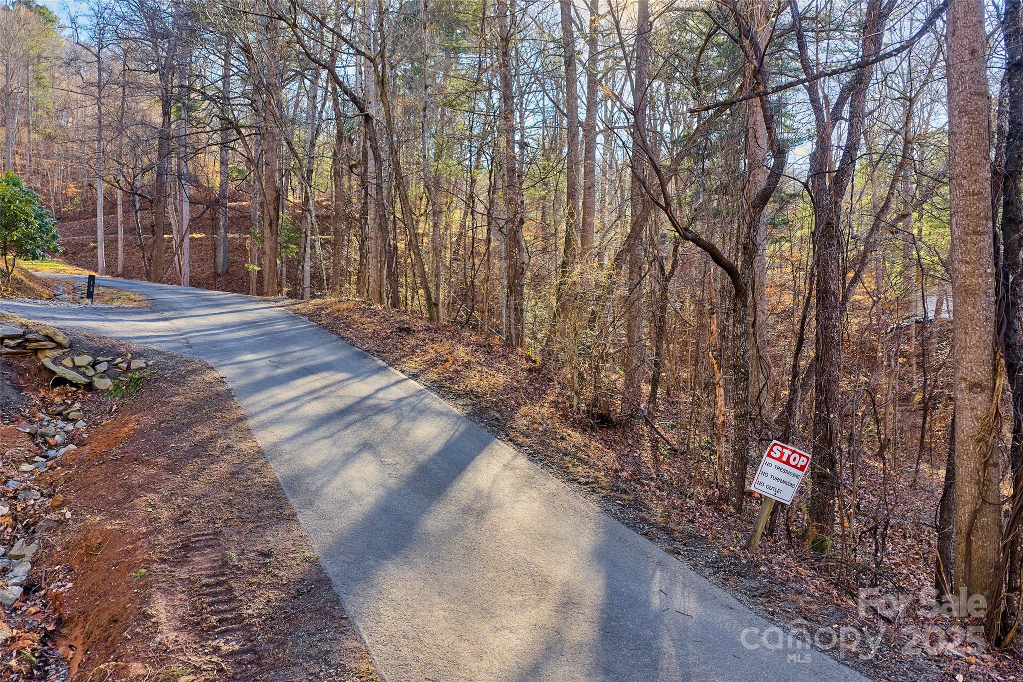 15 Beech Tree Lane Asheville NC 28804