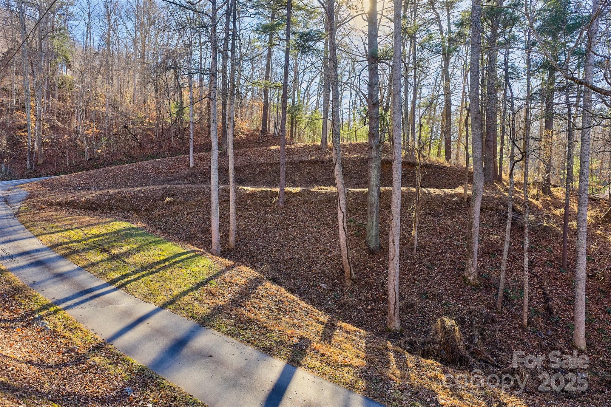 15 Beech Tree Lane Asheville NC 28804