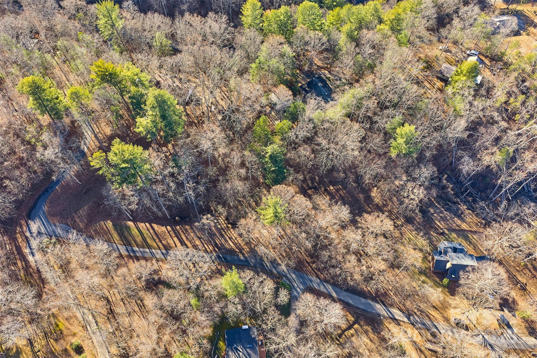 15 Beech Tree Lane Asheville NC 28804