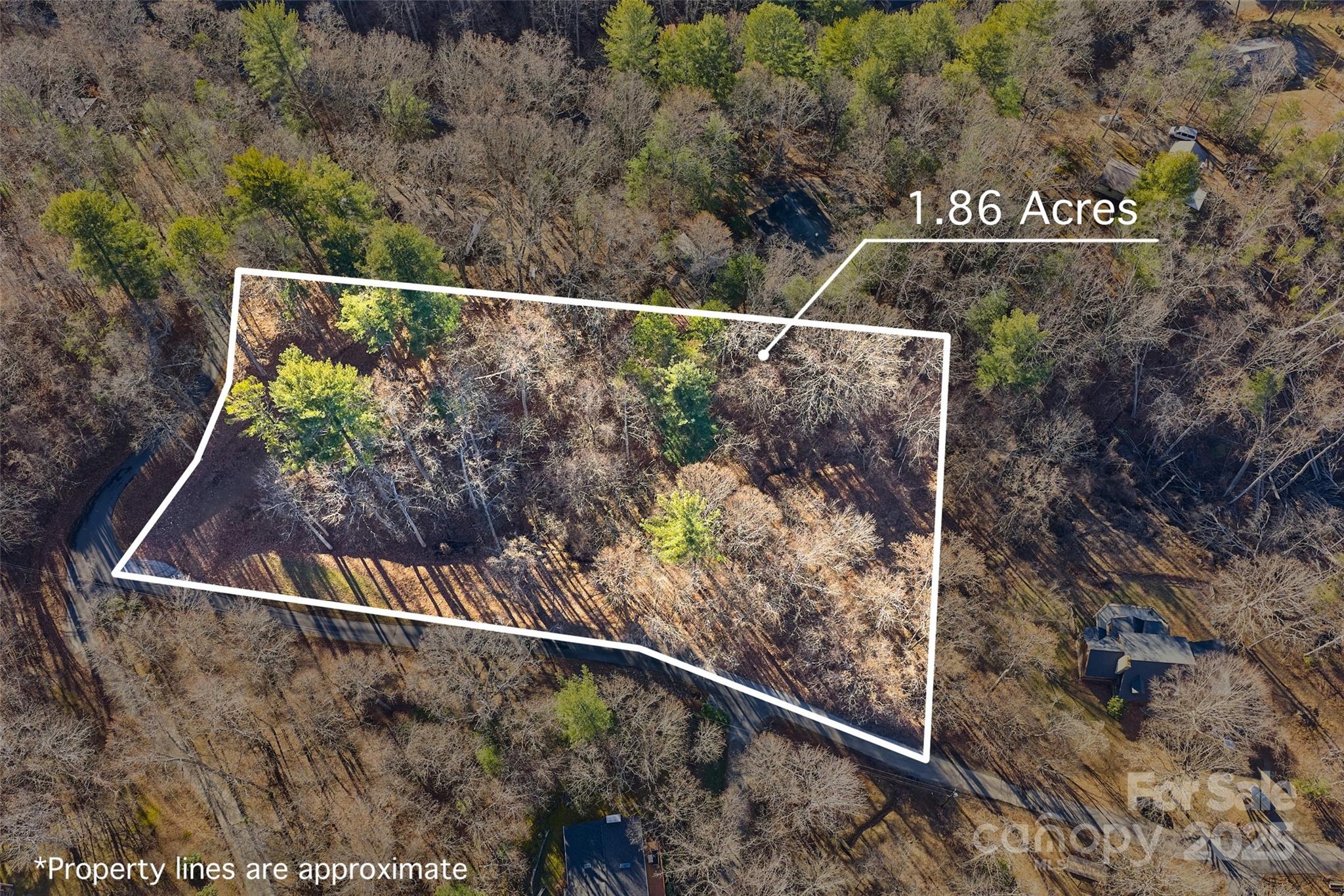 15 Beech Tree Lane Asheville NC 28804