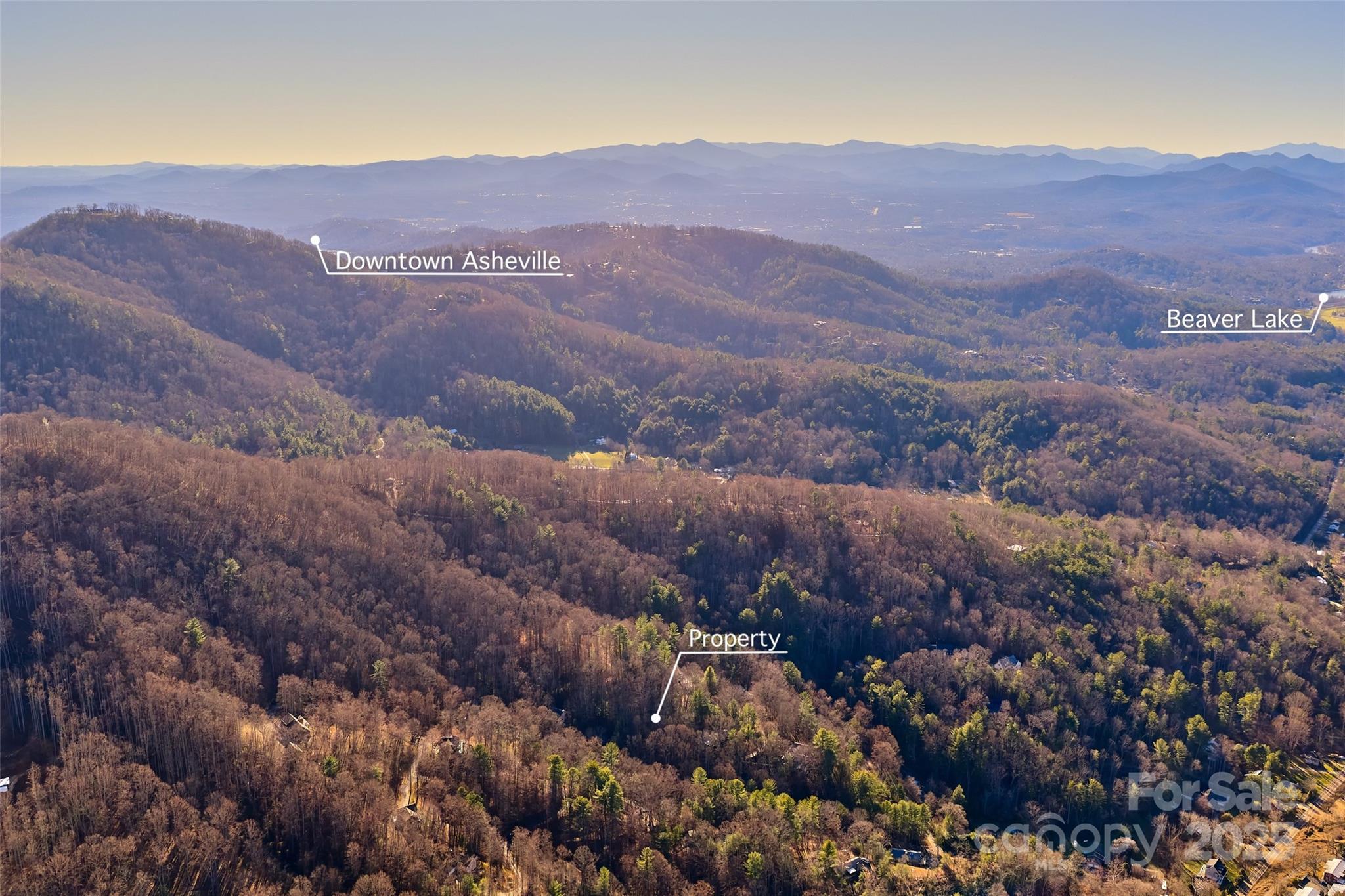 15 Beech Tree Lane Asheville NC 28804