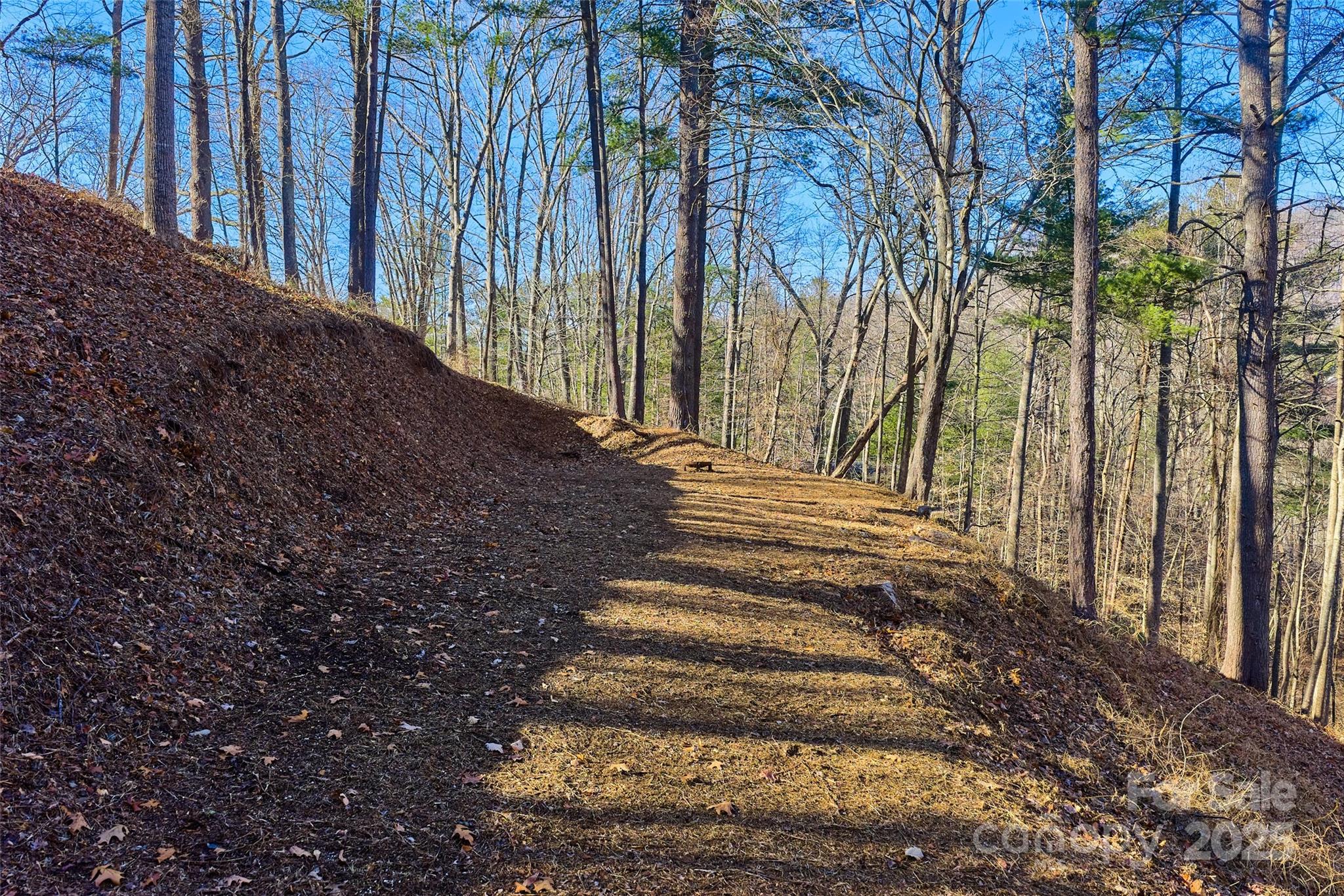 15 Beech Tree Lane Asheville NC 28804