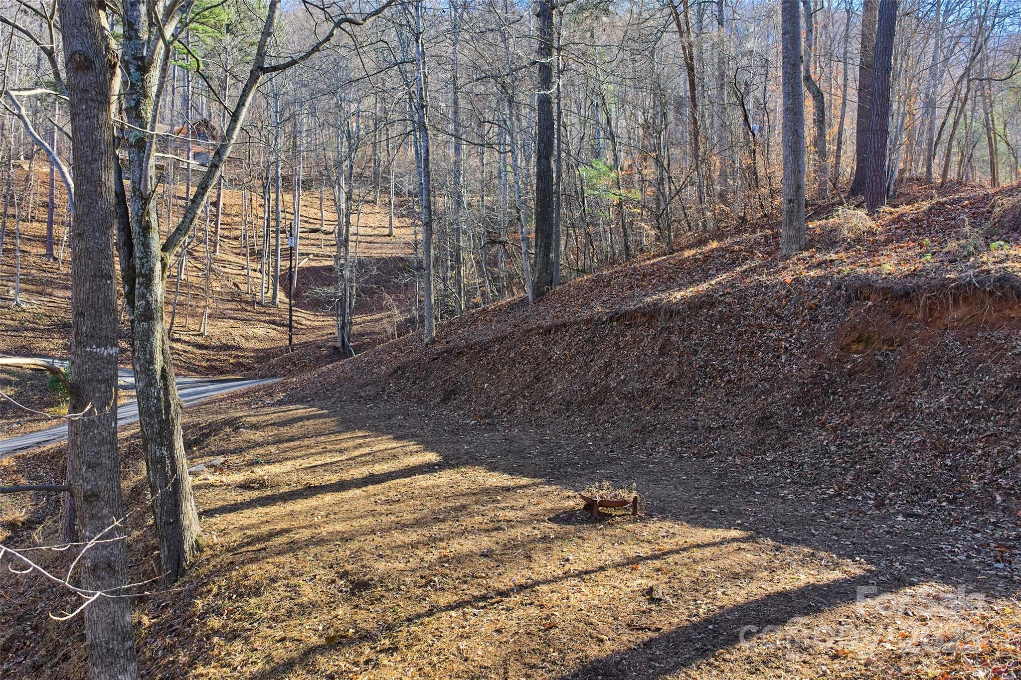 15 Beech Tree Lane Asheville NC 28804