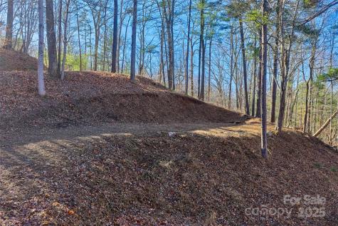 15 Beech Tree Lane Asheville NC 28804