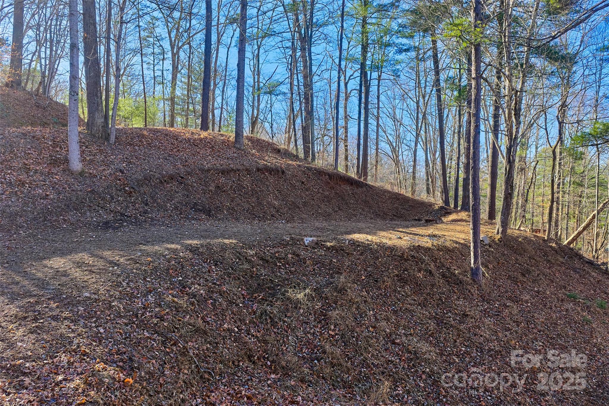 15 Beech Tree Lane Asheville NC 28804