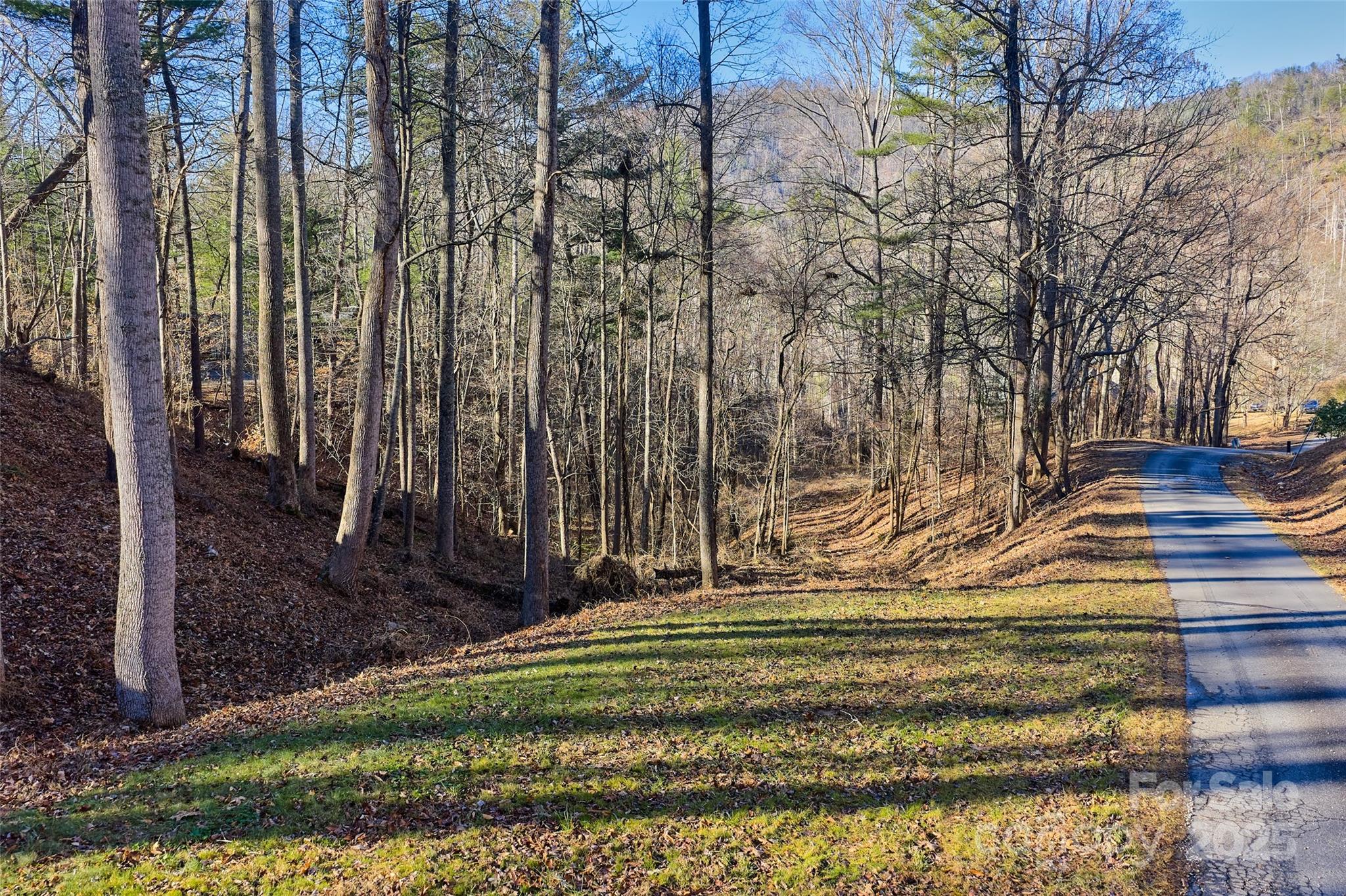 15 Beech Tree Lane Asheville NC 28804