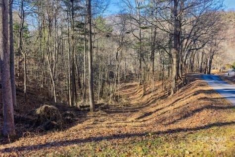 15 Beech Tree Lane Asheville NC 28804