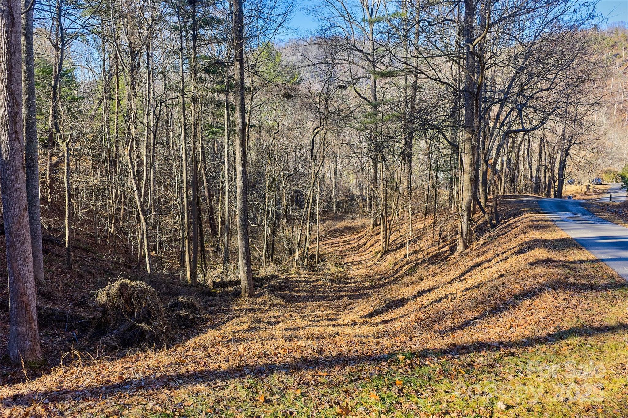 15 Beech Tree Lane Asheville NC 28804