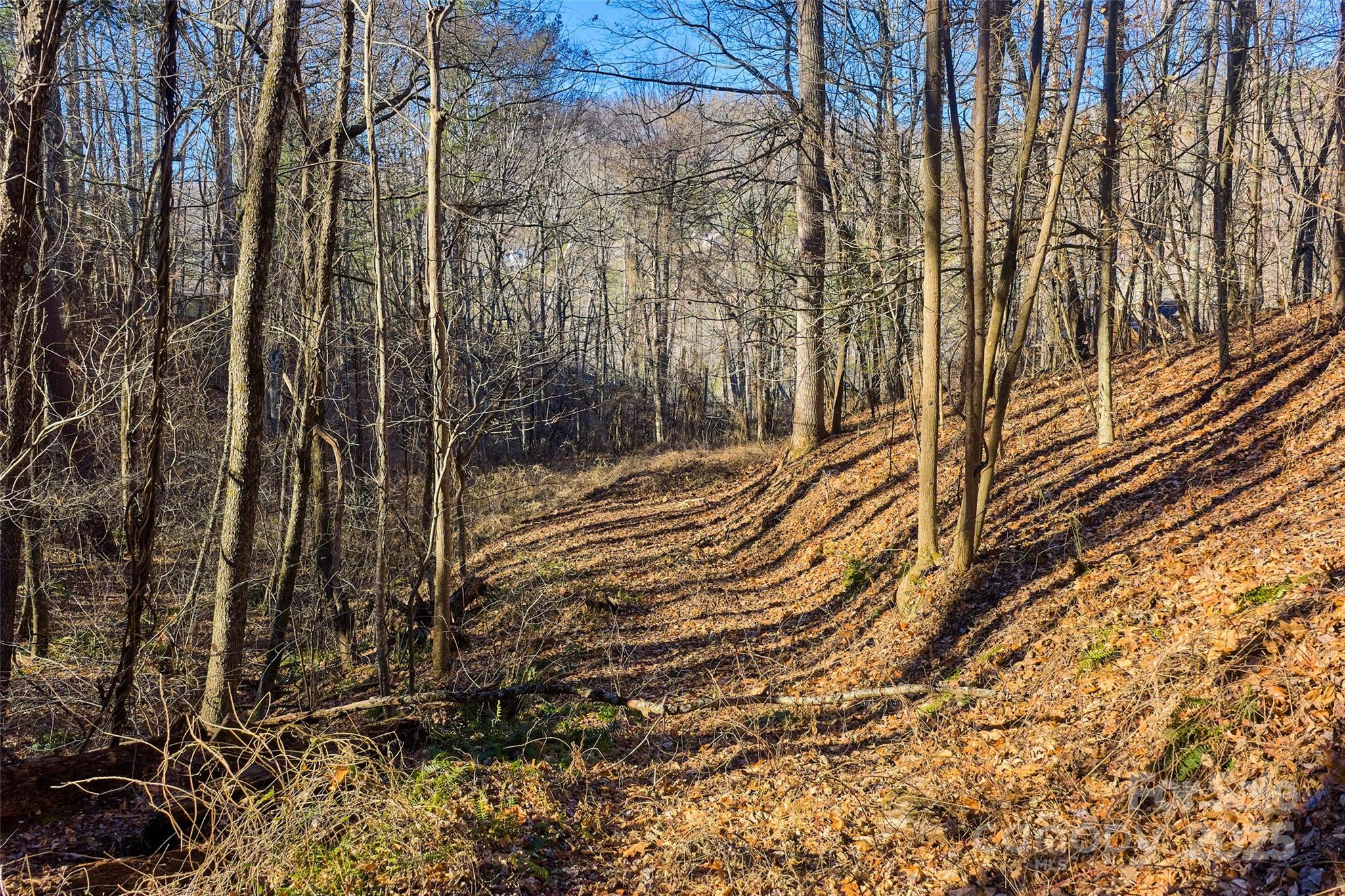 15 Beech Tree Lane Asheville NC 28804