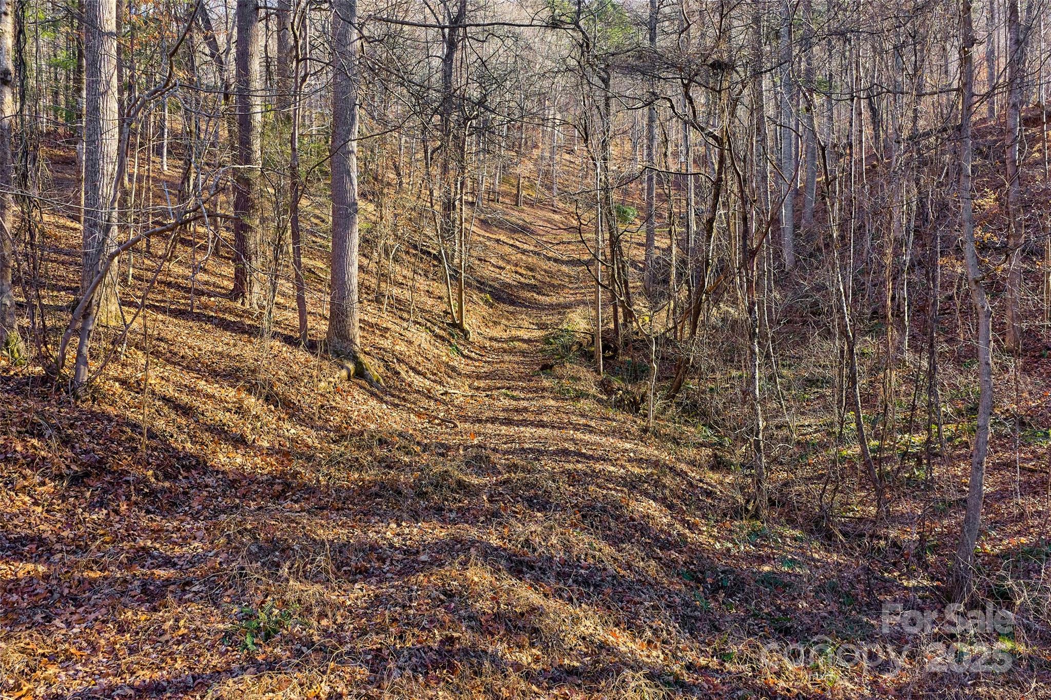 15 Beech Tree Lane Asheville NC 28804