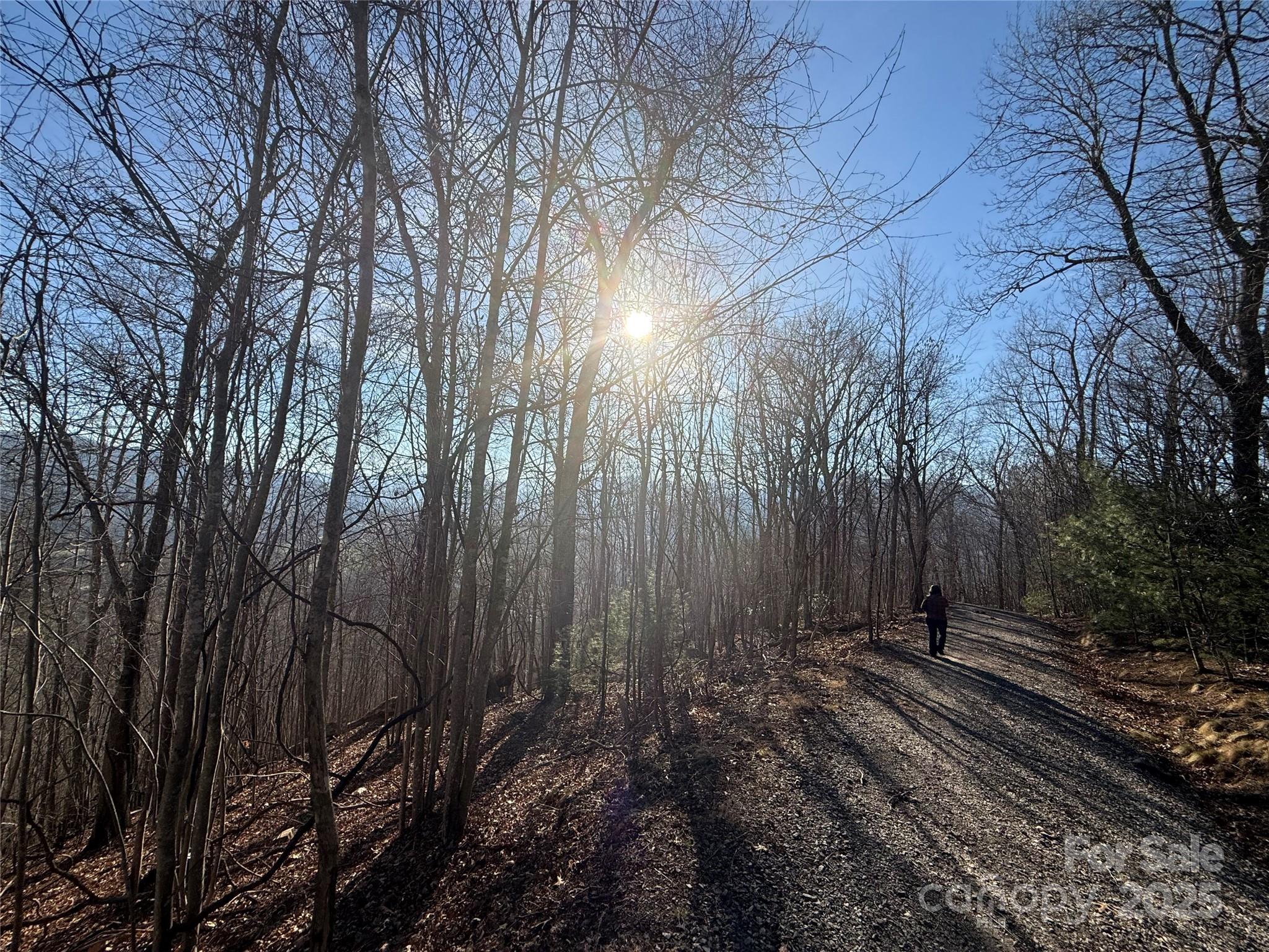 18,19,20,21 Brer Rabbit Trail Waynesville NC 28785