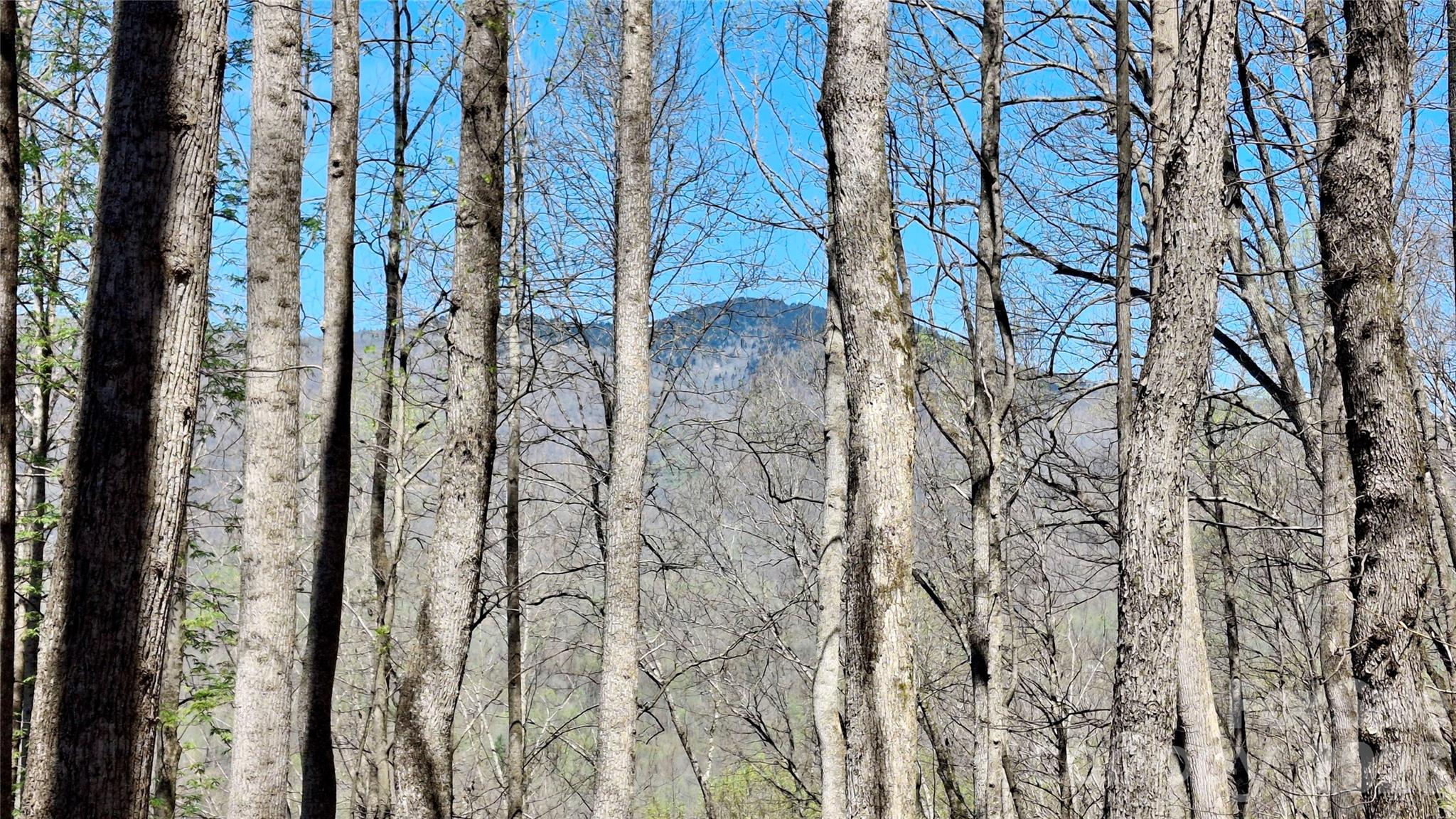 00 Maynor Drive Sylva NC 28779