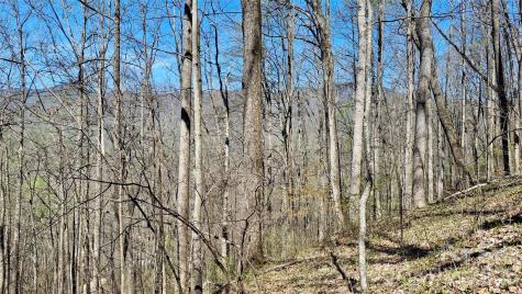 00 Maynor Drive Sylva NC 28779