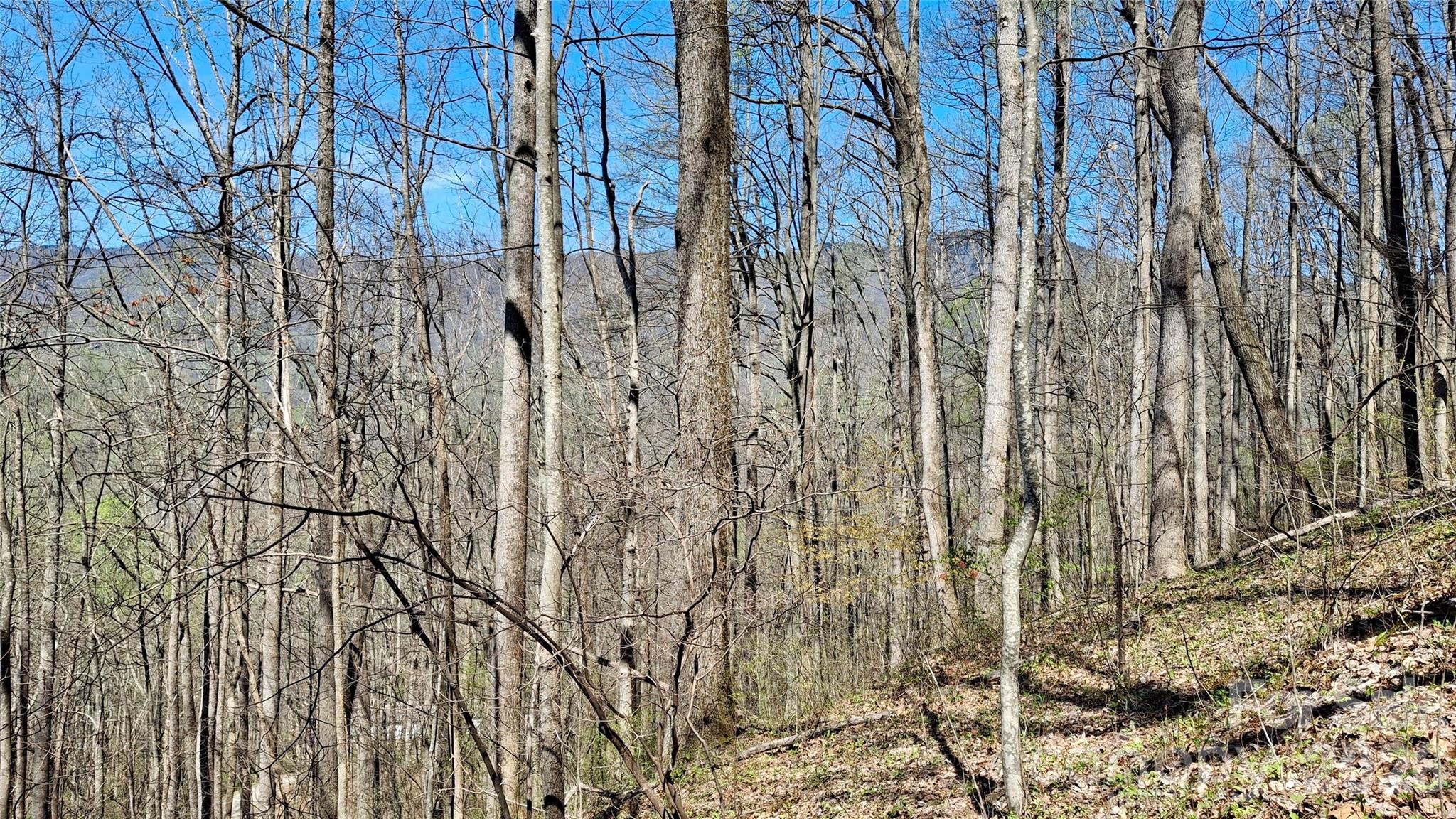 00 Maynor Drive Sylva NC 28779