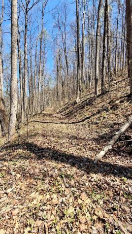 00 Maynor Drive Sylva NC 28779