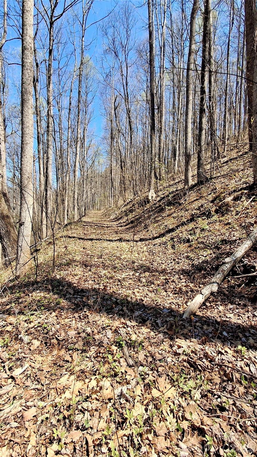 00 Maynor Drive Sylva NC 28779