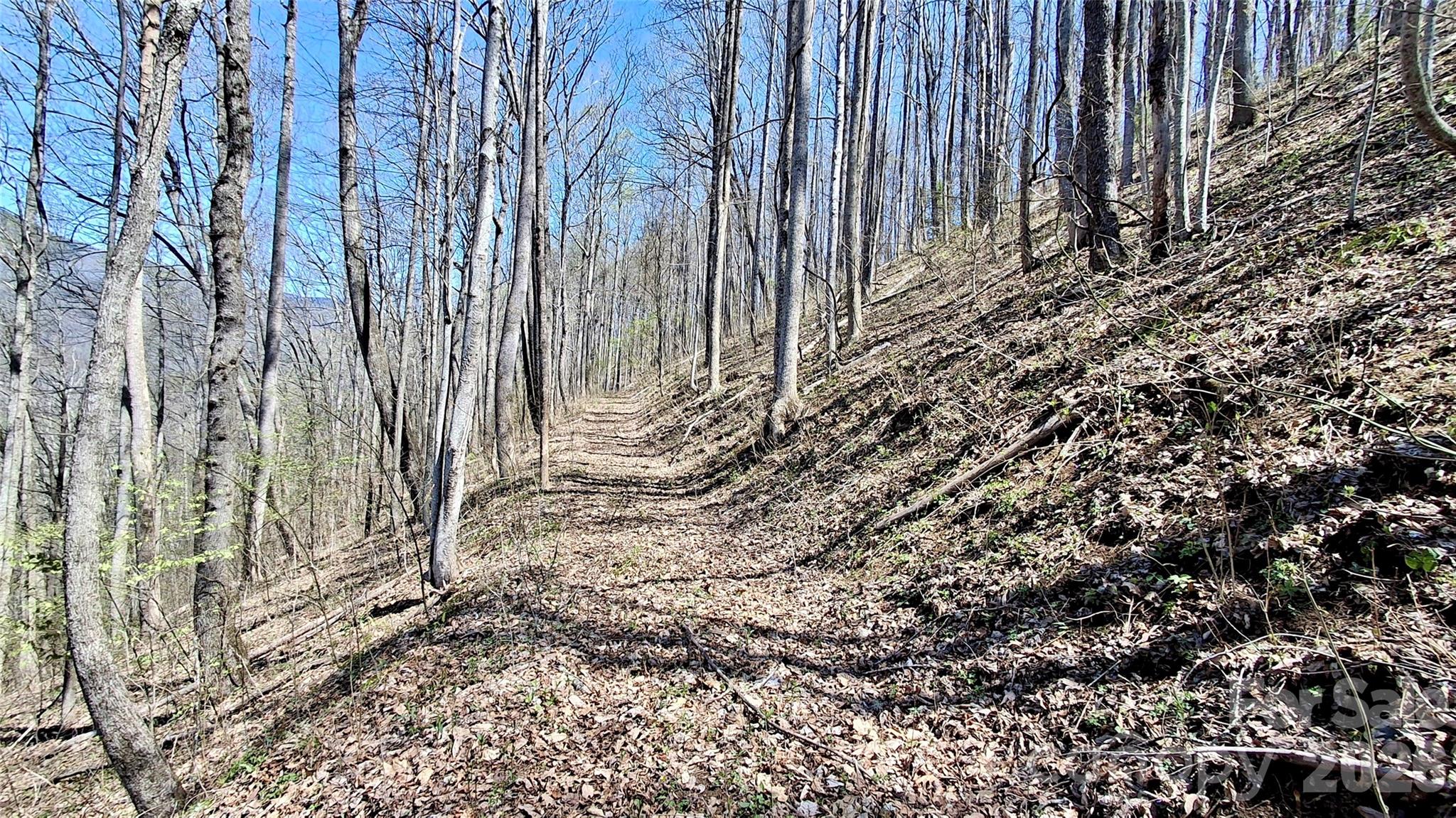 00 Maynor Drive Sylva NC 28779