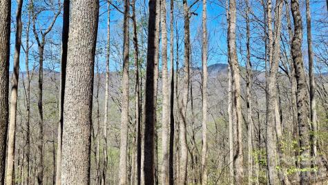 00 Maynor Drive Sylva NC 28779