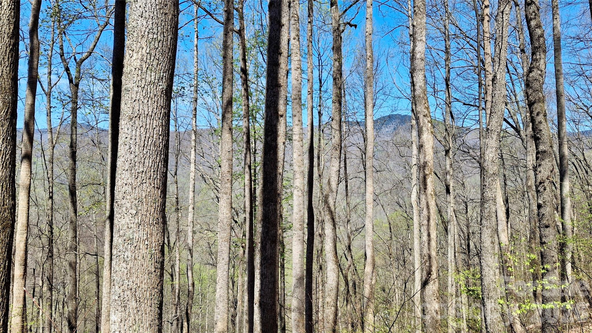 00 Maynor Drive Sylva NC 28779