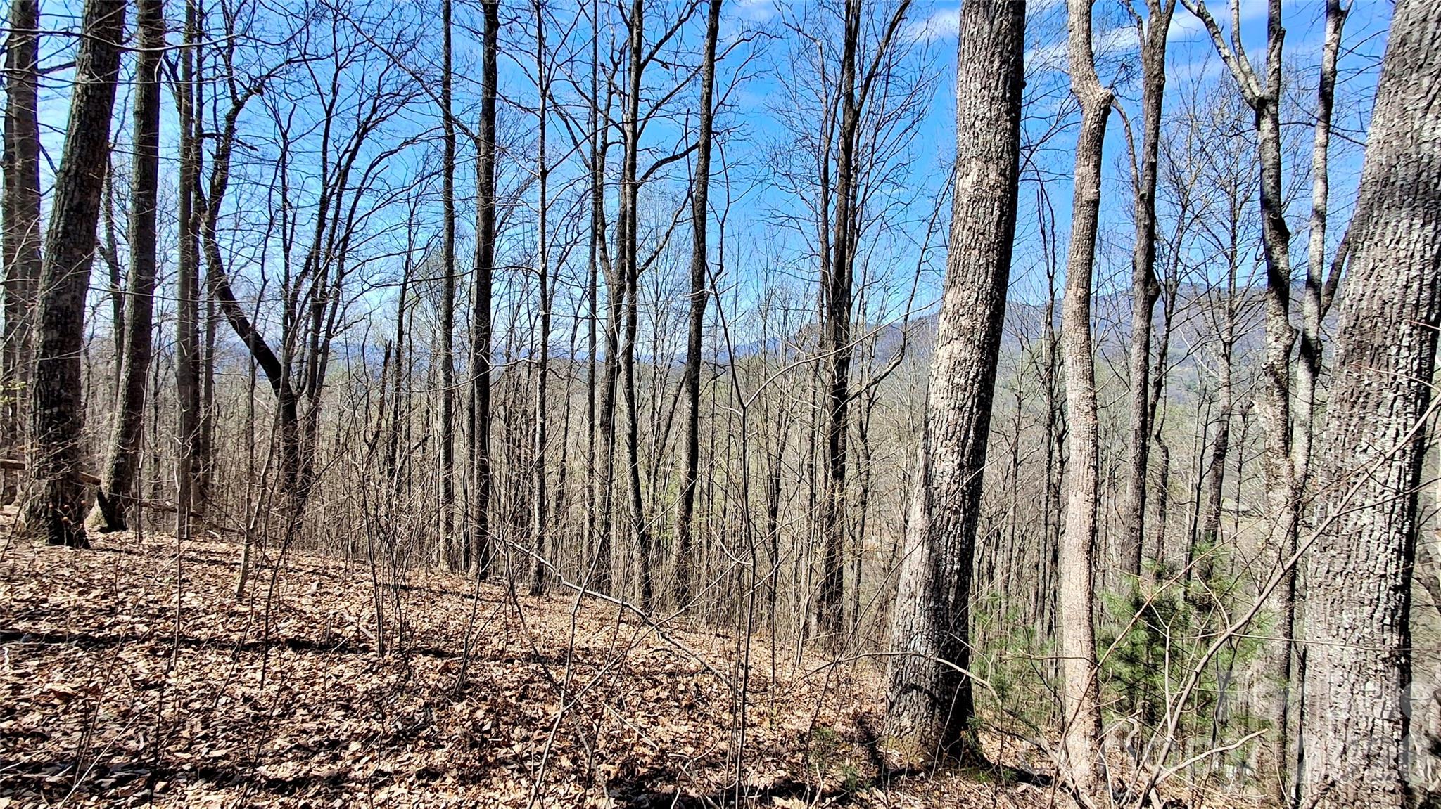 00 Maynor Drive Sylva NC 28779