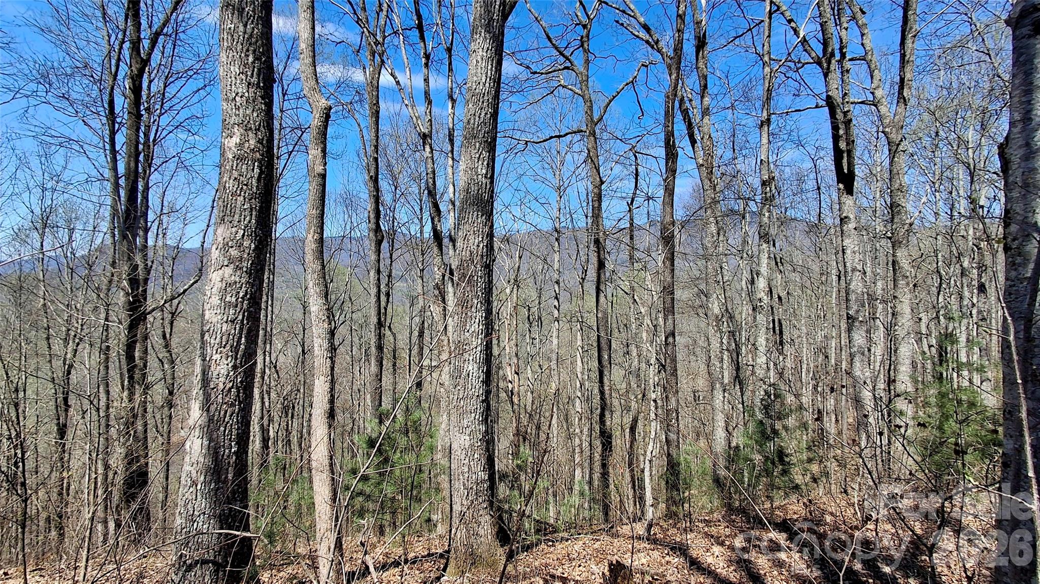 00 Maynor Drive Sylva NC 28779