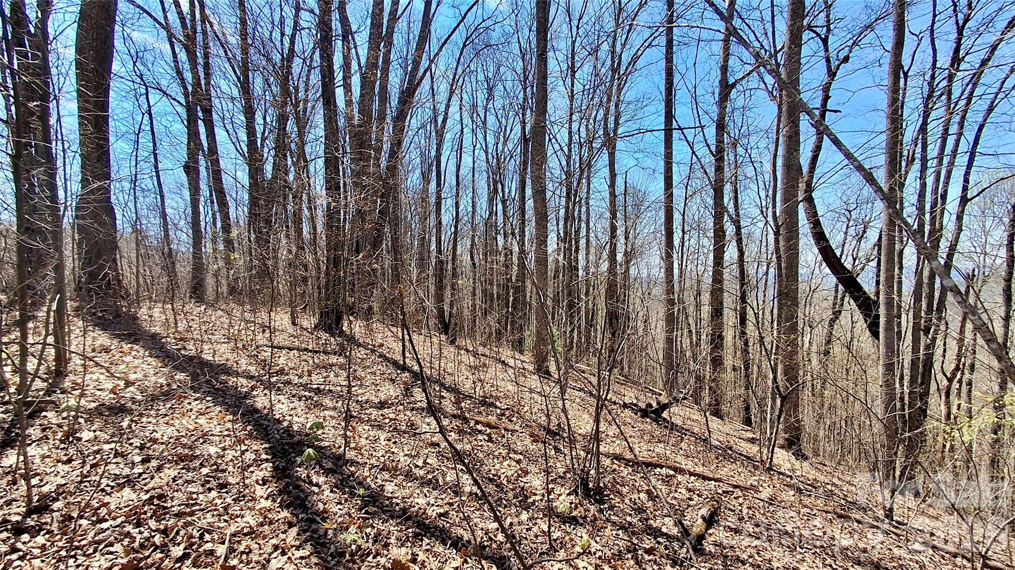 00 Maynor Drive Sylva NC 28779