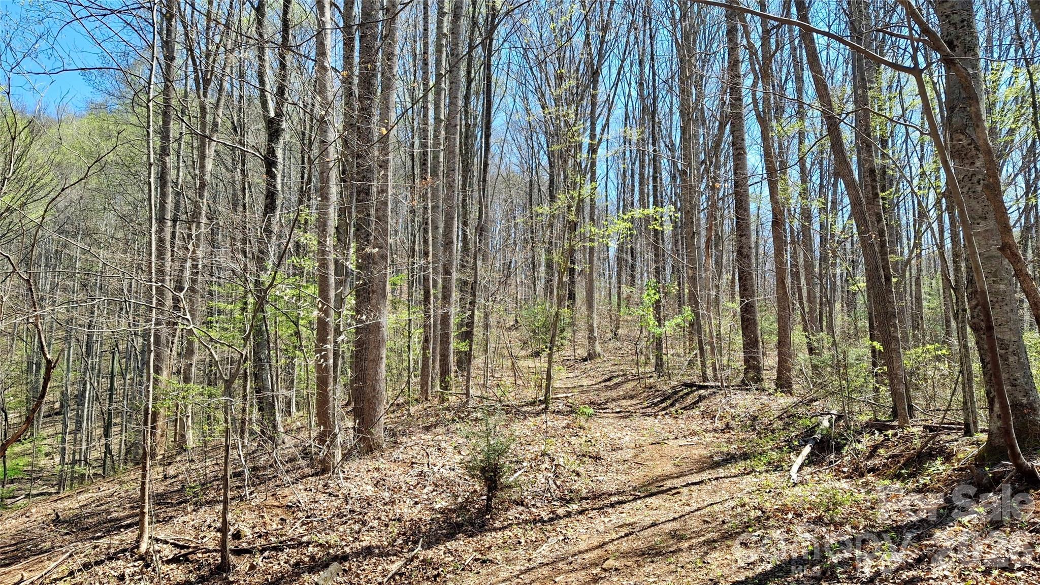 00 Maynor Drive Sylva NC 28779