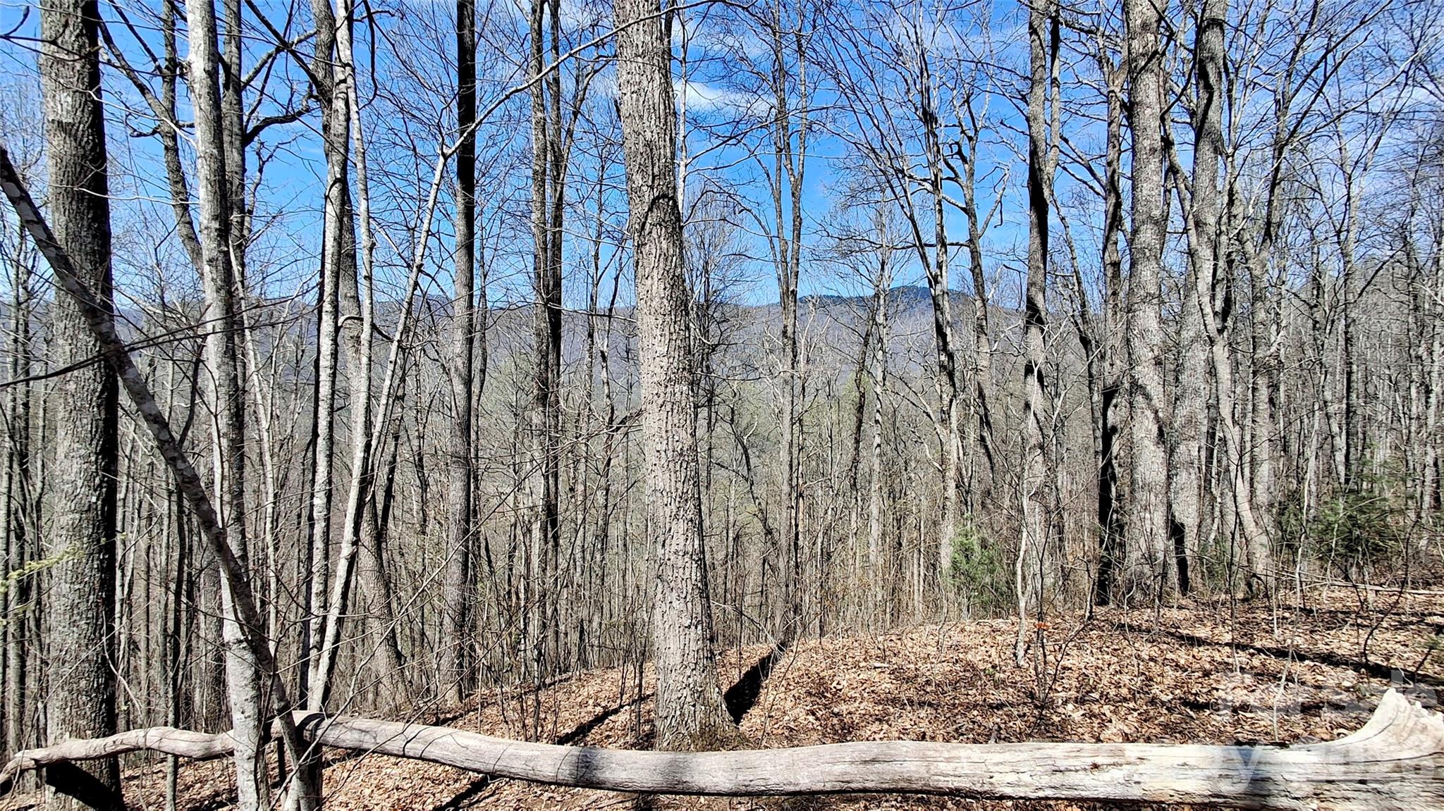00 Maynor Drive Sylva NC 28779