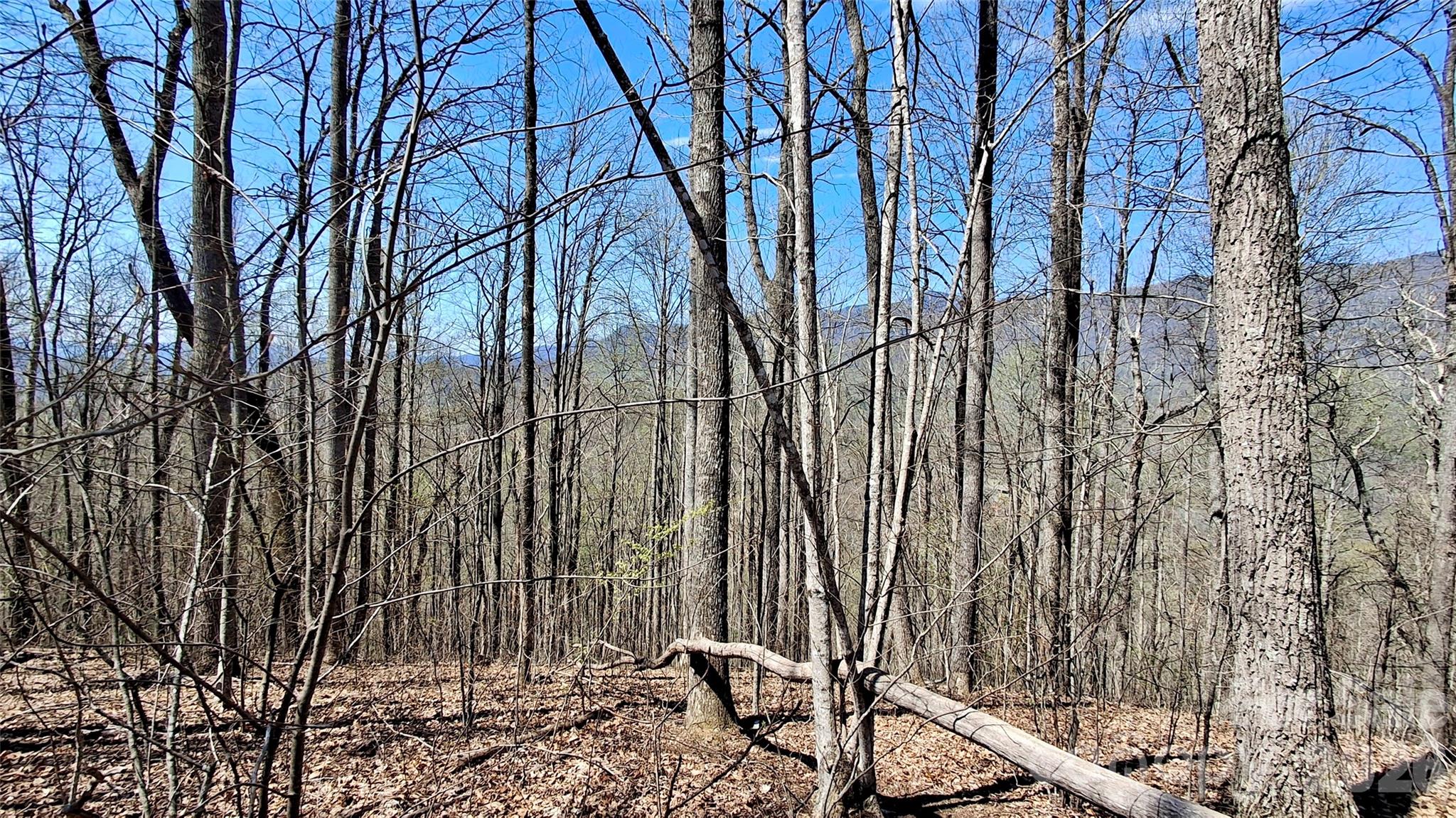 00 Maynor Drive Sylva NC 28779