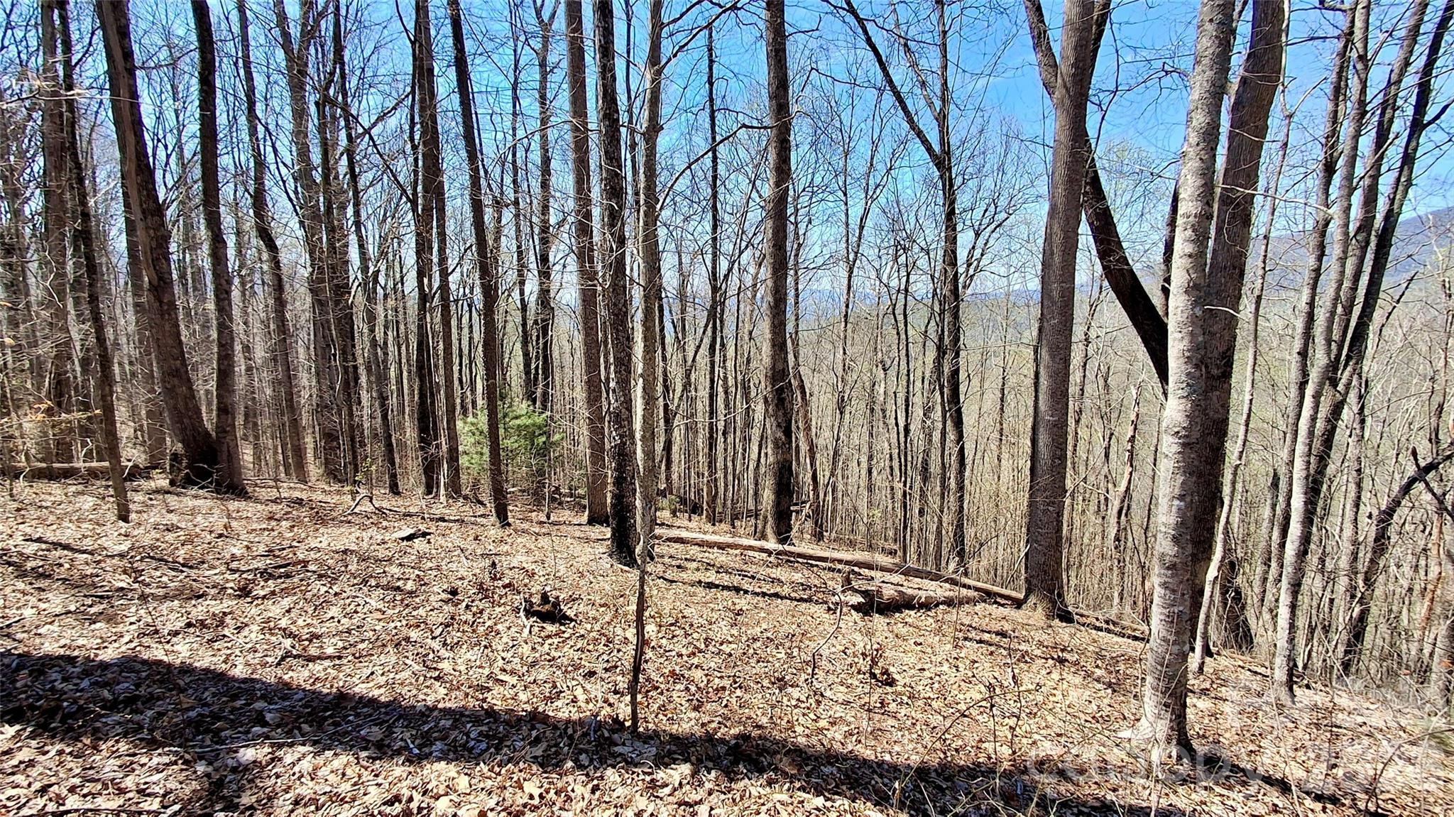 00 Maynor Drive Sylva NC 28779